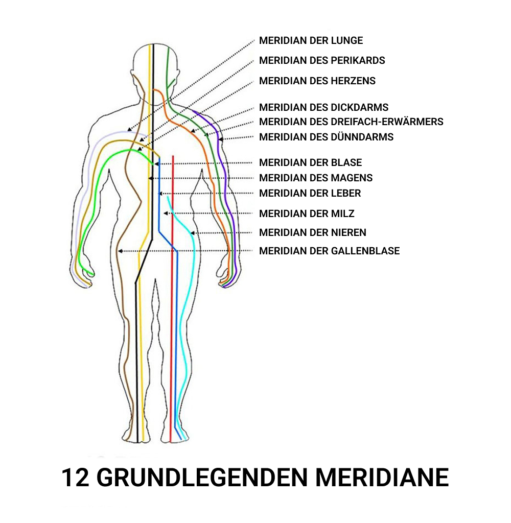 Diagramm der 12 grundlegenden Meridiane am menschlichen Körper, darunter Lunge, Herz, Blase, Magen, Leber, Milz, Nieren und Gallenblase